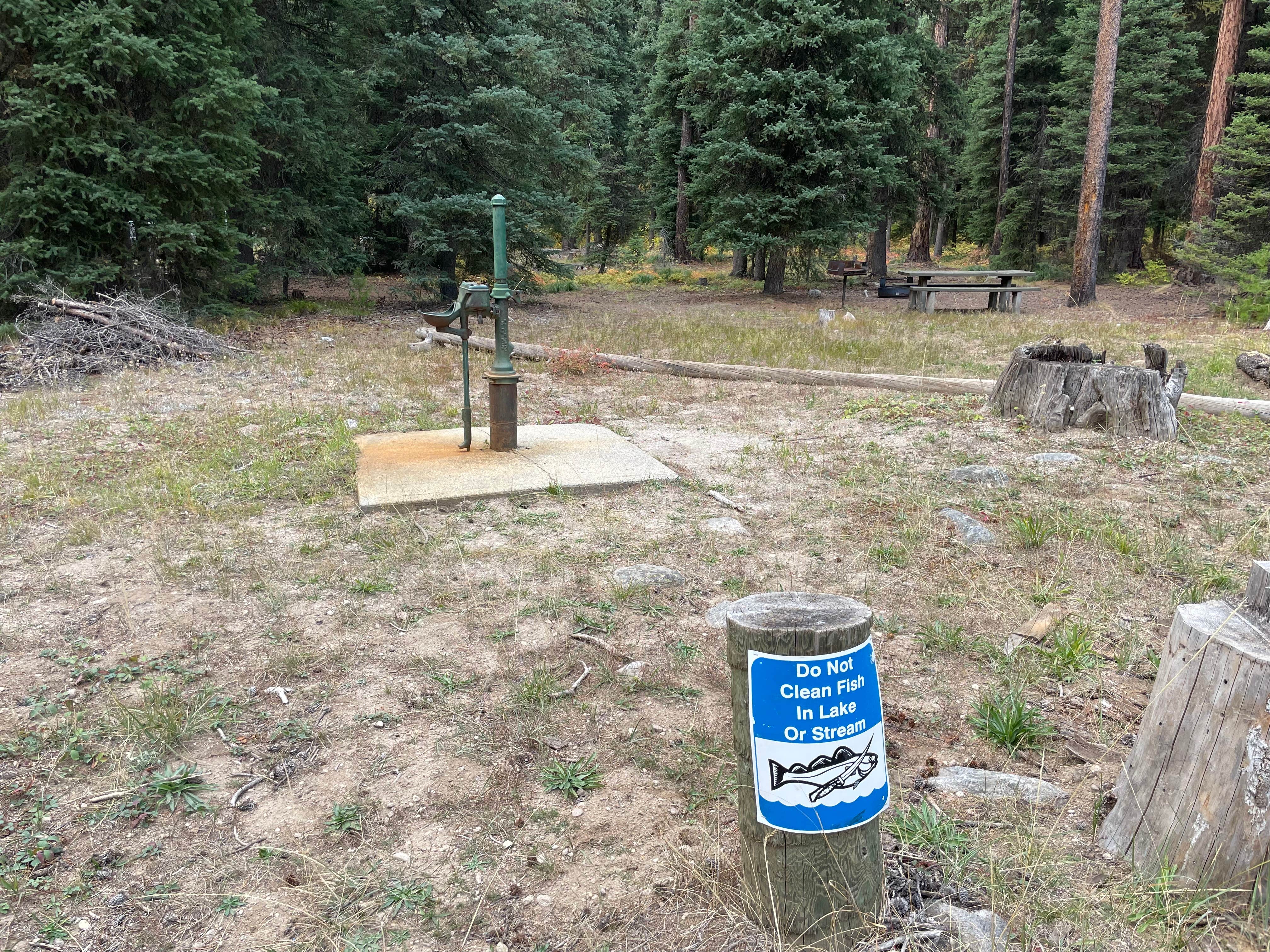 Camper-submitted photo at Kennally Creek near Cascade, ID