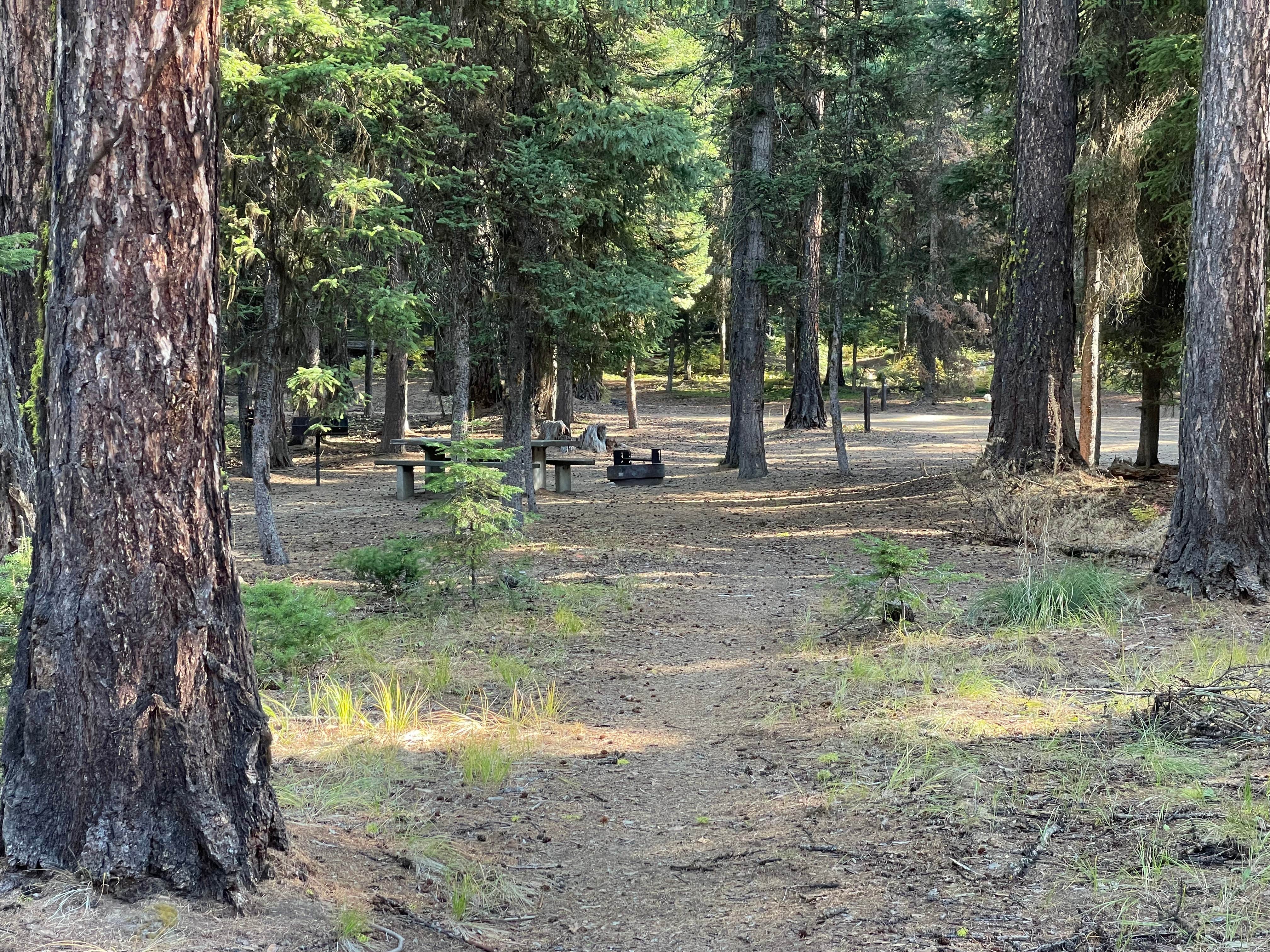 Camper-submitted photo at Kennally Creek near Cascade, ID