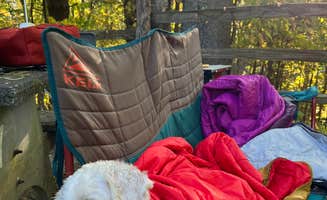 PCS S.'s photo of camping with pets at Doughton Park Campground — Blue Ridge Parkway near Blue Ridge Parkway