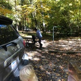 Review photo of Cataloochee Campground — Great Smoky Mountains National Park by Nick , October 9, 2022