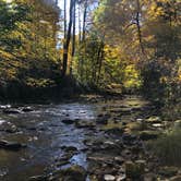 Review photo of Cataloochee Campground — Great Smoky Mountains National Park by Nick , October 9, 2022