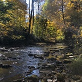 Review photo of Cataloochee Campground — Great Smoky Mountains National Park by Nick , October 9, 2022