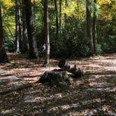 Review photo of Cataloochee Campground — Great Smoky Mountains National Park by Nick , October 9, 2022