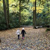 Review photo of Cataloochee Campground — Great Smoky Mountains National Park by Nick , October 9, 2022