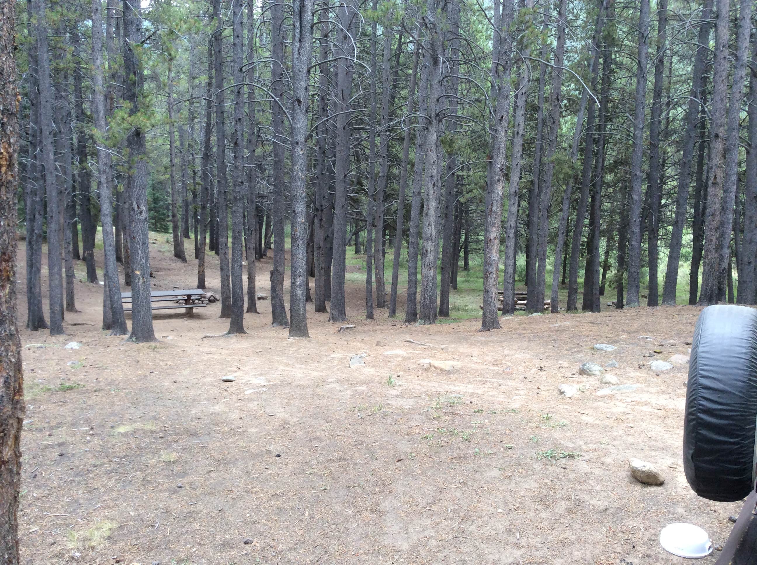 Camper-submitted photo at Geneva Park Campground near Jefferson, CO