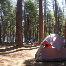 gorgeous campsite
