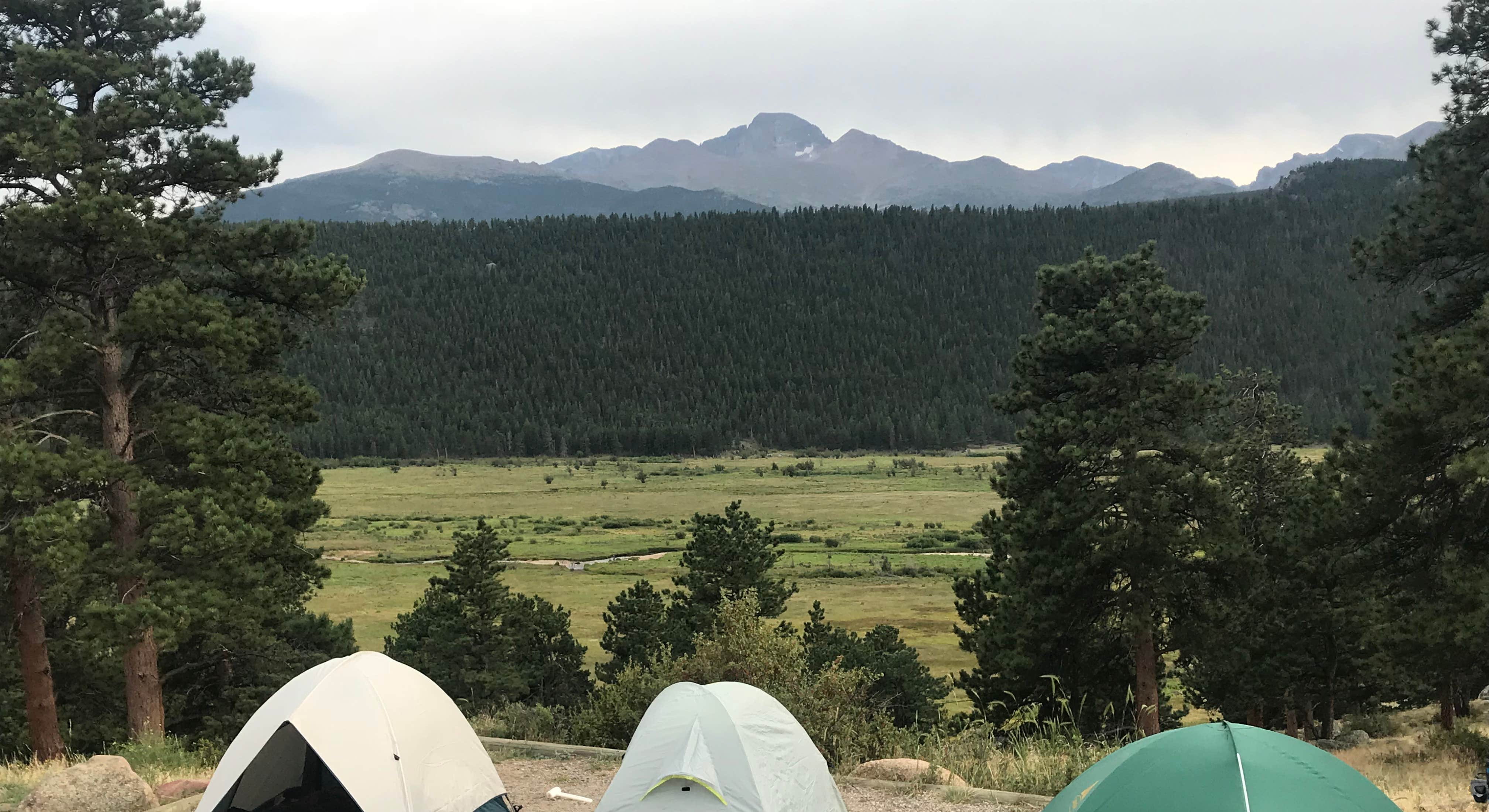 3 Tents set up near near Moraine Park Campground Rocky Mountain National Park