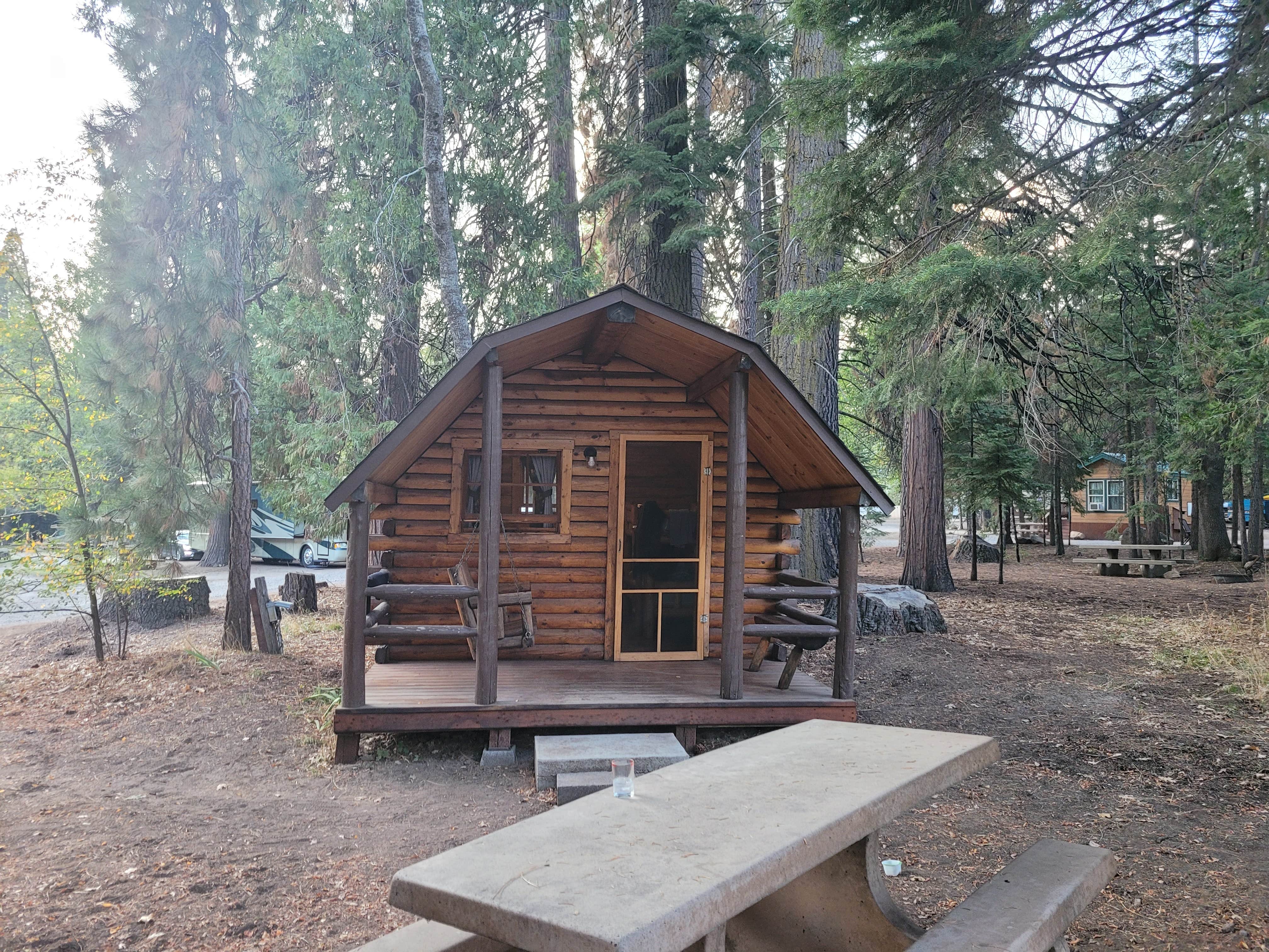 Mark J.'s photo of glamping accommodations at Mount Shasta City KOA Holiday near Weed, CA