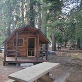 Review photo of Mount Shasta City KOA by Mark J., October 10, 2022