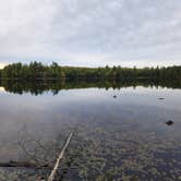 Review photo of Emily Lake State Forest Campground by Connor H., October 10, 2022