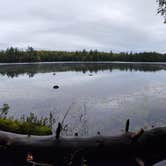 Review photo of Emily Lake State Forest Campground by Connor H., October 10, 2022