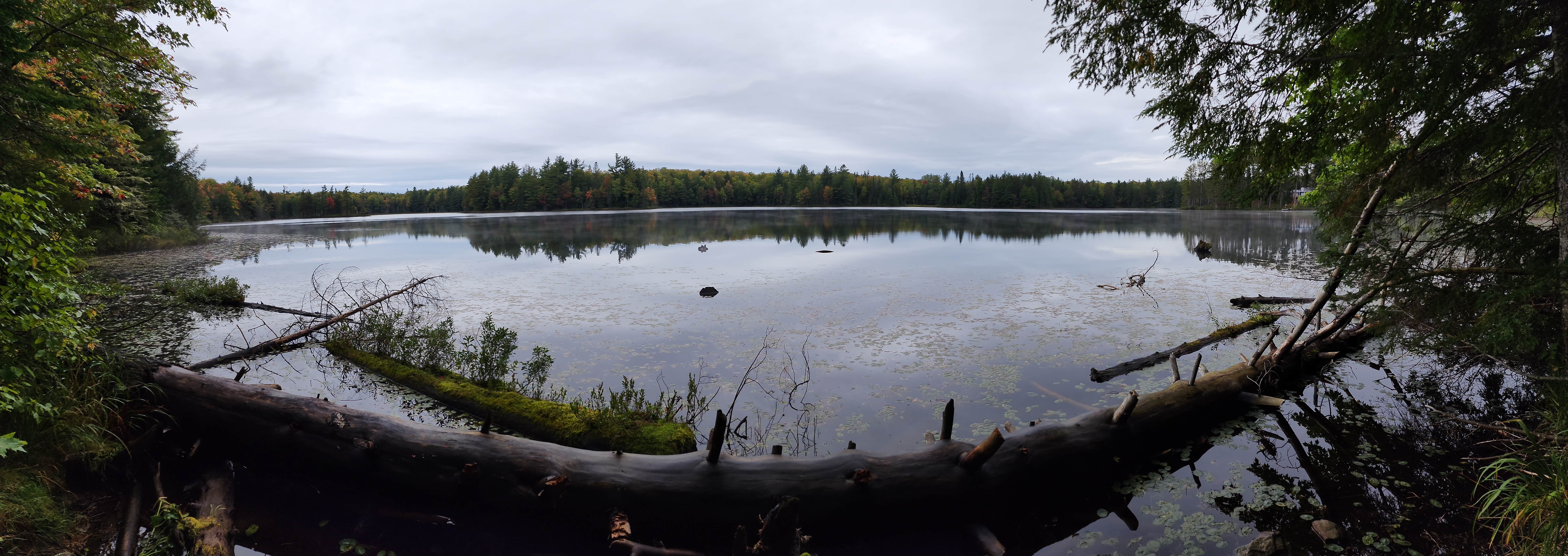 Camper submitted image from Emily Lake State Forest Campground - 1