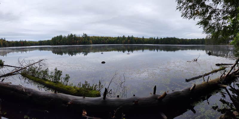 Camper submitted image from Emily Lake State Forest Campground