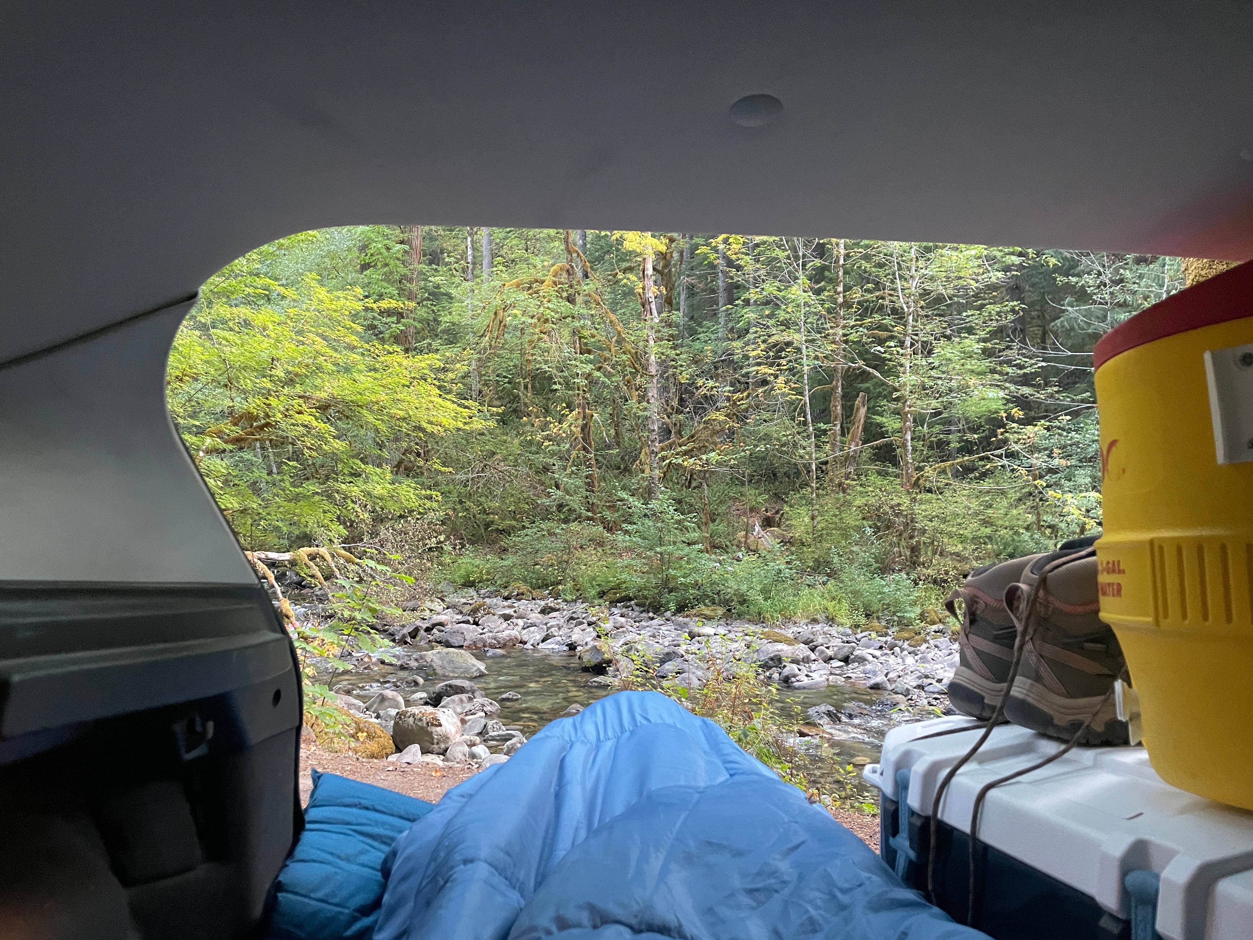 Camper submitted image from Tatoosh Wilderness WA FS52 - Dispersed Camping - 1