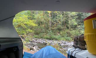 Elif M.'s photo of a dispersed camping area at Tatoosh Wilderness WA FS52 - Dispersed Camping near Onalaska, WA
