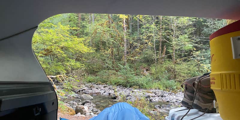 Camper submitted image from Tatoosh Wilderness WA FS52 - Dispersed Camping