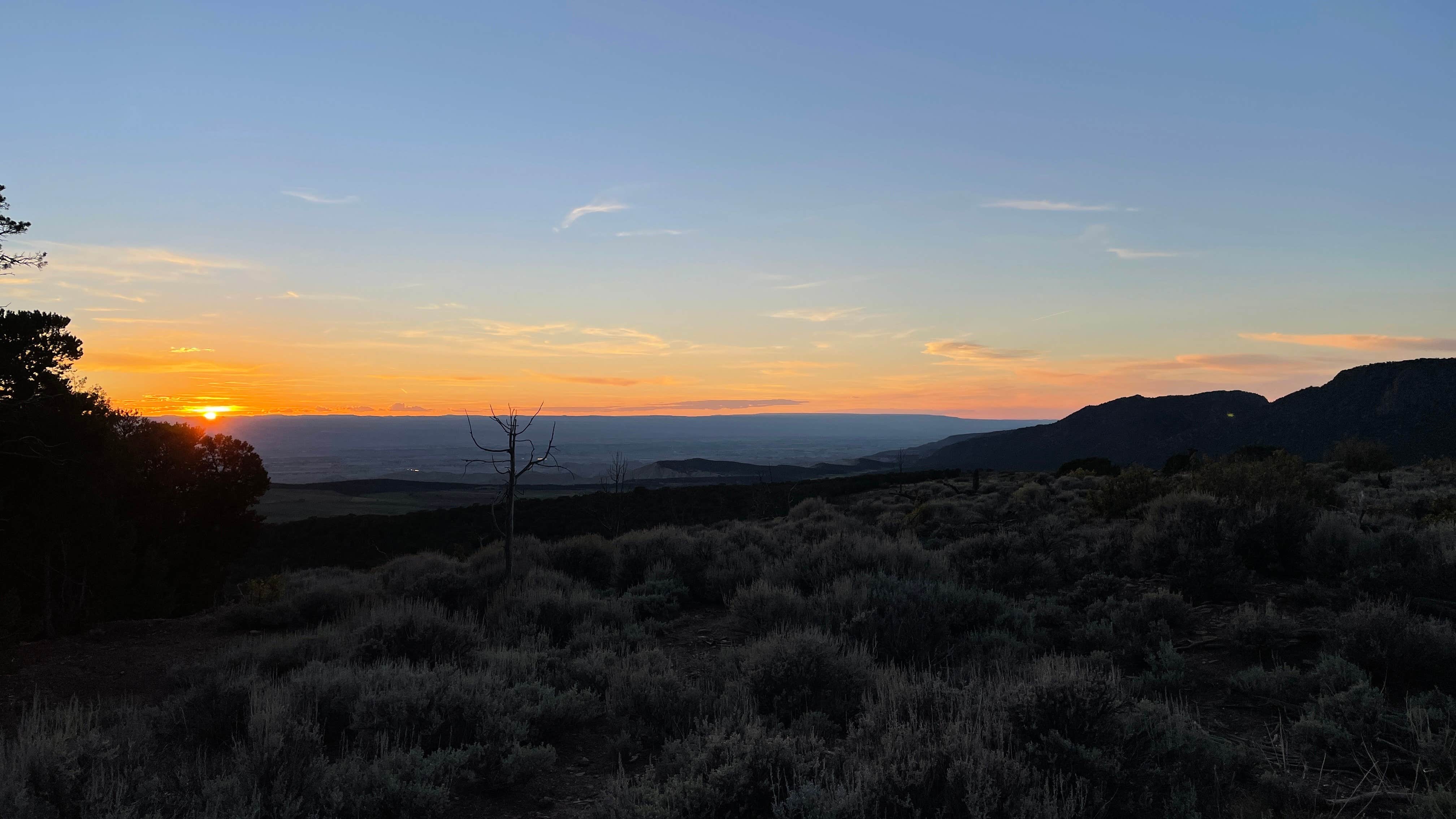 Cody J.'s photo of a dispersed camping area at Black Canyon Dispersed Camping in Colorado