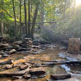 Review photo of Fall Creek Falls State Park Campground by D W., October 10, 2022