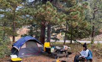 Alicia L.'s photo of tent camping at Goat Hill Campground near Llano, NM