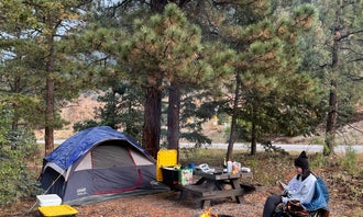 Camping near Columbine Campground (NM): Goat Hill Campground, Questa, New Mexico