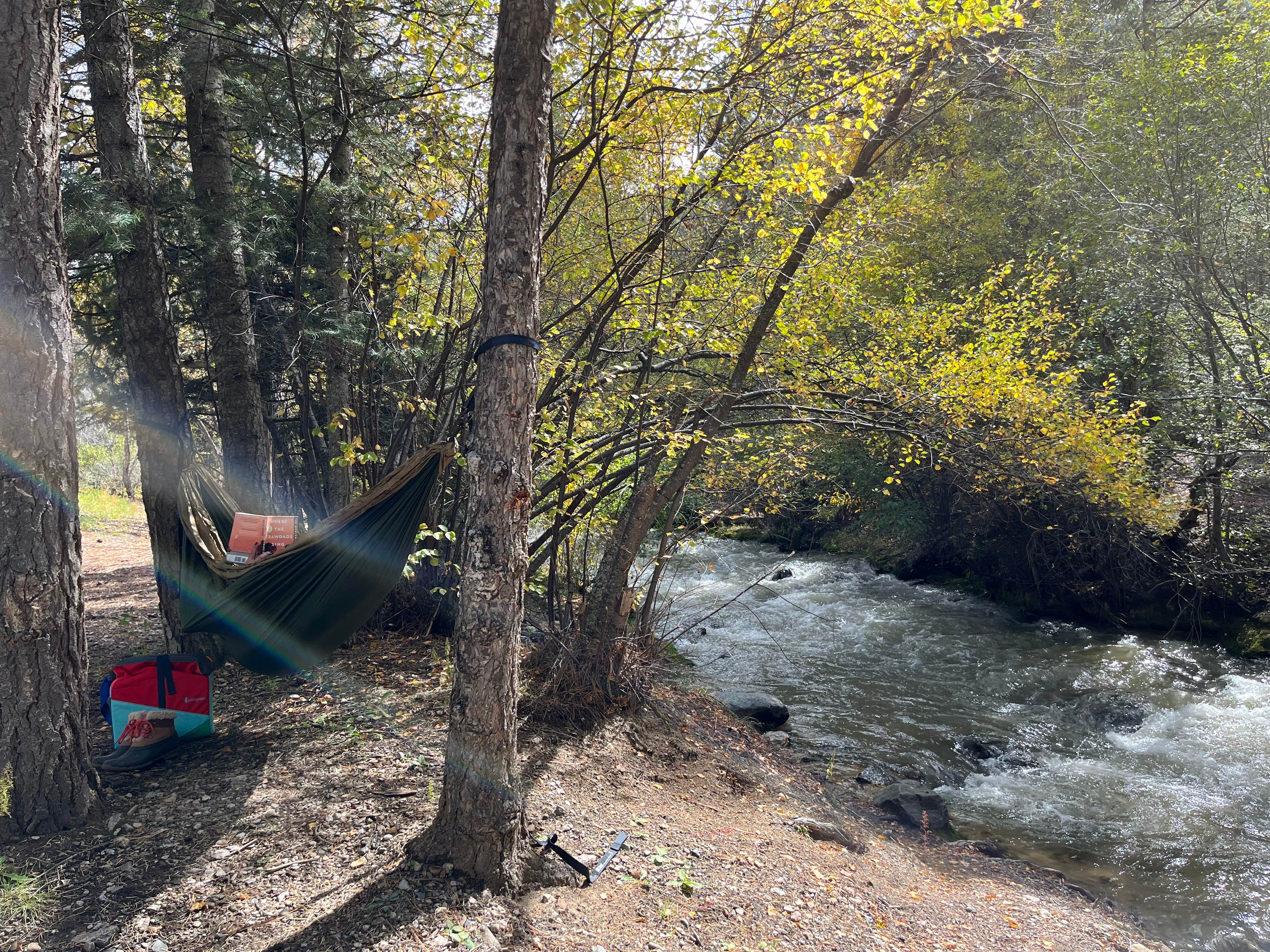 Camper-submitted photo at Goat Hill Campground near Red River, NM