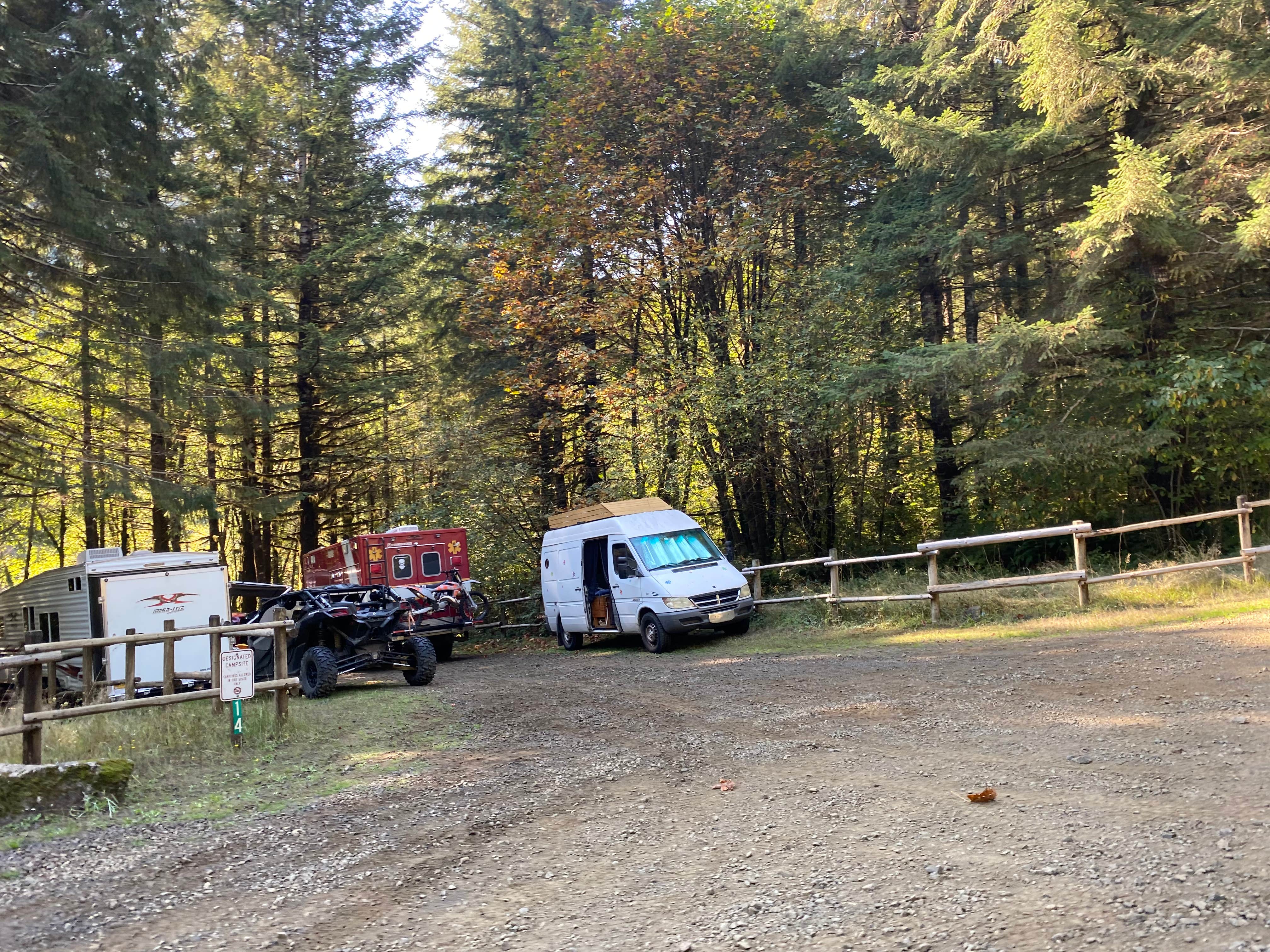 Camper submitted image from Tillamook State Forest Dispersed Camping - 3
