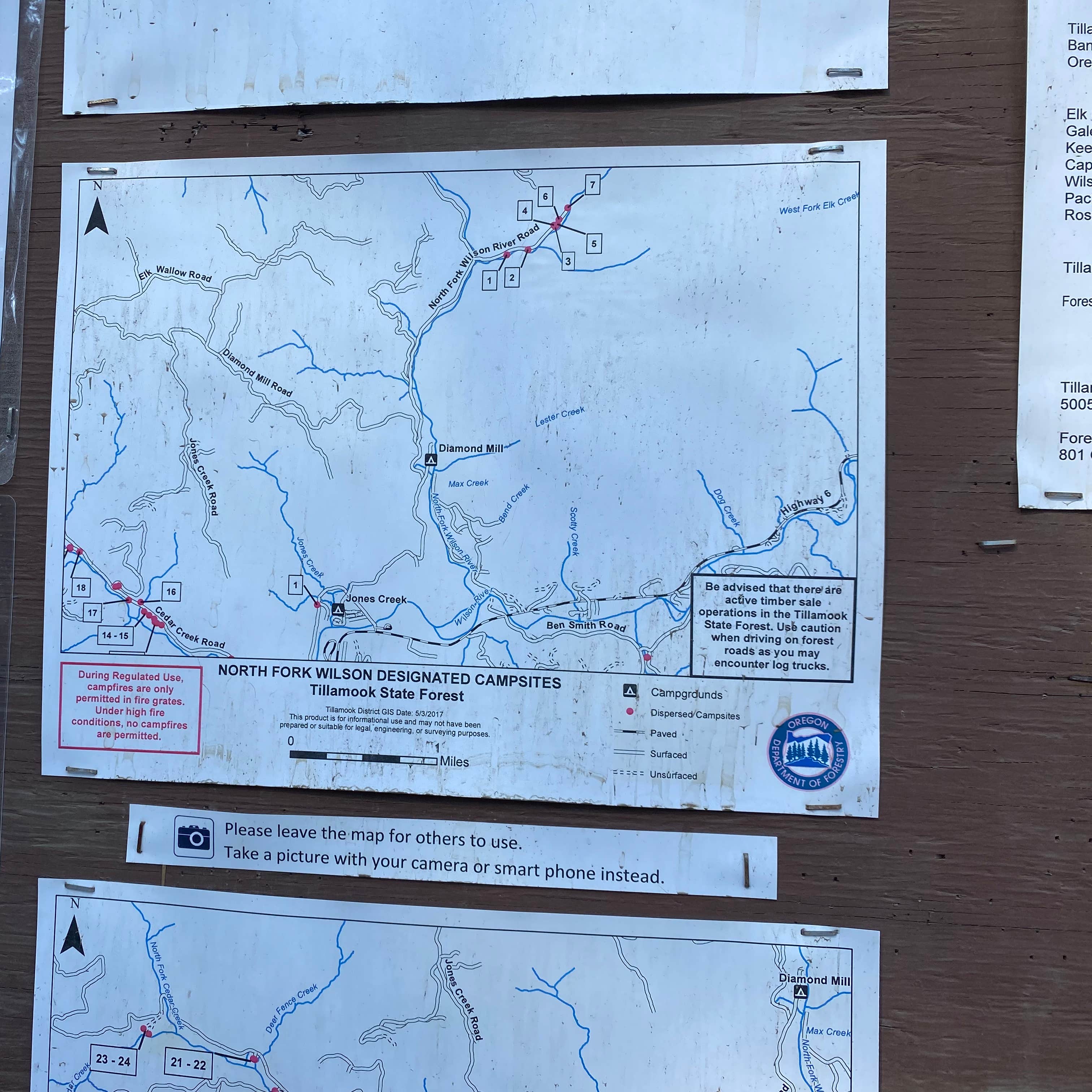 Tillamook State Forest Dispersed Camping Camping | The Dyrt