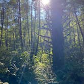 Review photo of Tillamook State Forest Dispersed Camping by Amy & Stu B., October 10, 2022