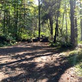 Review photo of Tillamook State Forest Dispersed Camping by Amy & Stu B., October 10, 2022