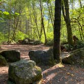 Review photo of Tillamook State Forest Dispersed Camping by Amy & Stu B., October 10, 2022