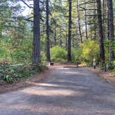 Review photo of Milo McIver State Park Campground by Amy & Stu B., October 10, 2022