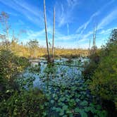 Review photo of Stephen C. Foster State Park Campground by Kara’s  C., October 10, 2022