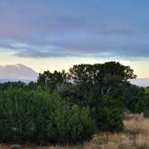 Review photo of Piñon Campground — Lathrop State Park by Nikki P., October 10, 2022
