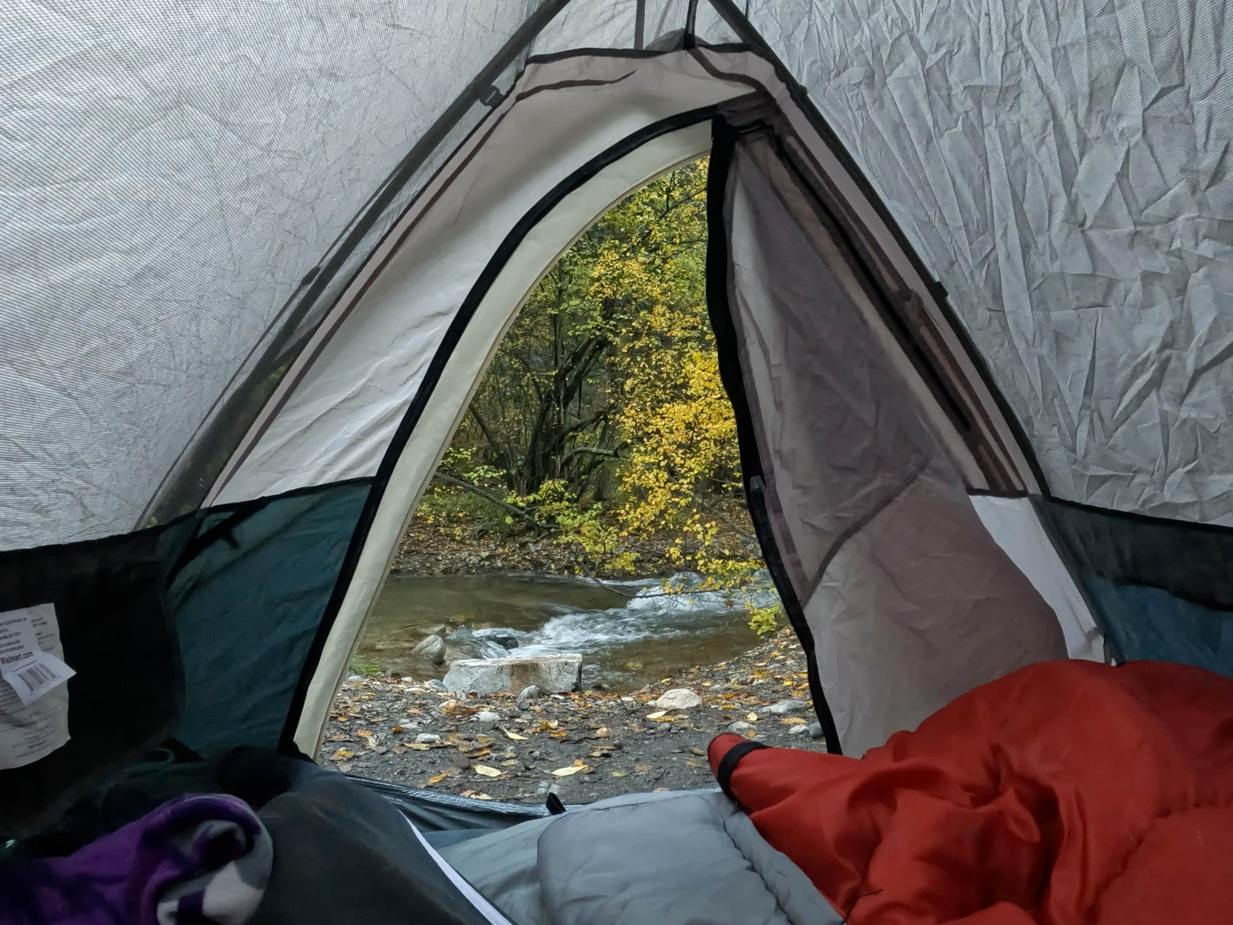 Michael N.'s photo of tent camping at Cuchilla Campground near Red River, NM