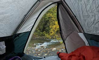 Michael N.'s photo of tent camping at Cuchilla Campground near Llano, NM