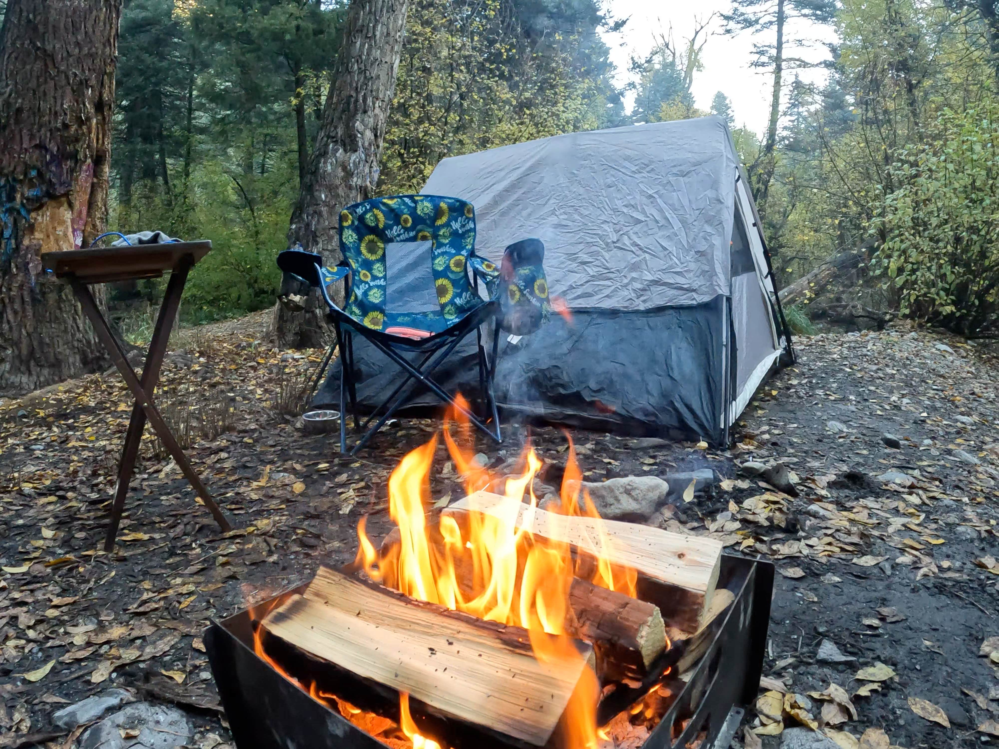 Camper-submitted photo at Cuchilla Campground near Red River, NM