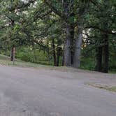 Review photo of Eugene T. Mahoney State Park Campground by Nikki P., October 10, 2022