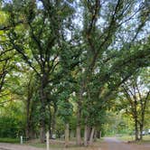 Review photo of Eugene T. Mahoney State Park Campground by Nikki P., October 10, 2022