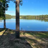 Review photo of Wind Creek State Park Campground by Alexis S., October 10, 2022