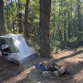 Review photo of Cocino National Forest - Rd. 535 by John R., October 10, 2022