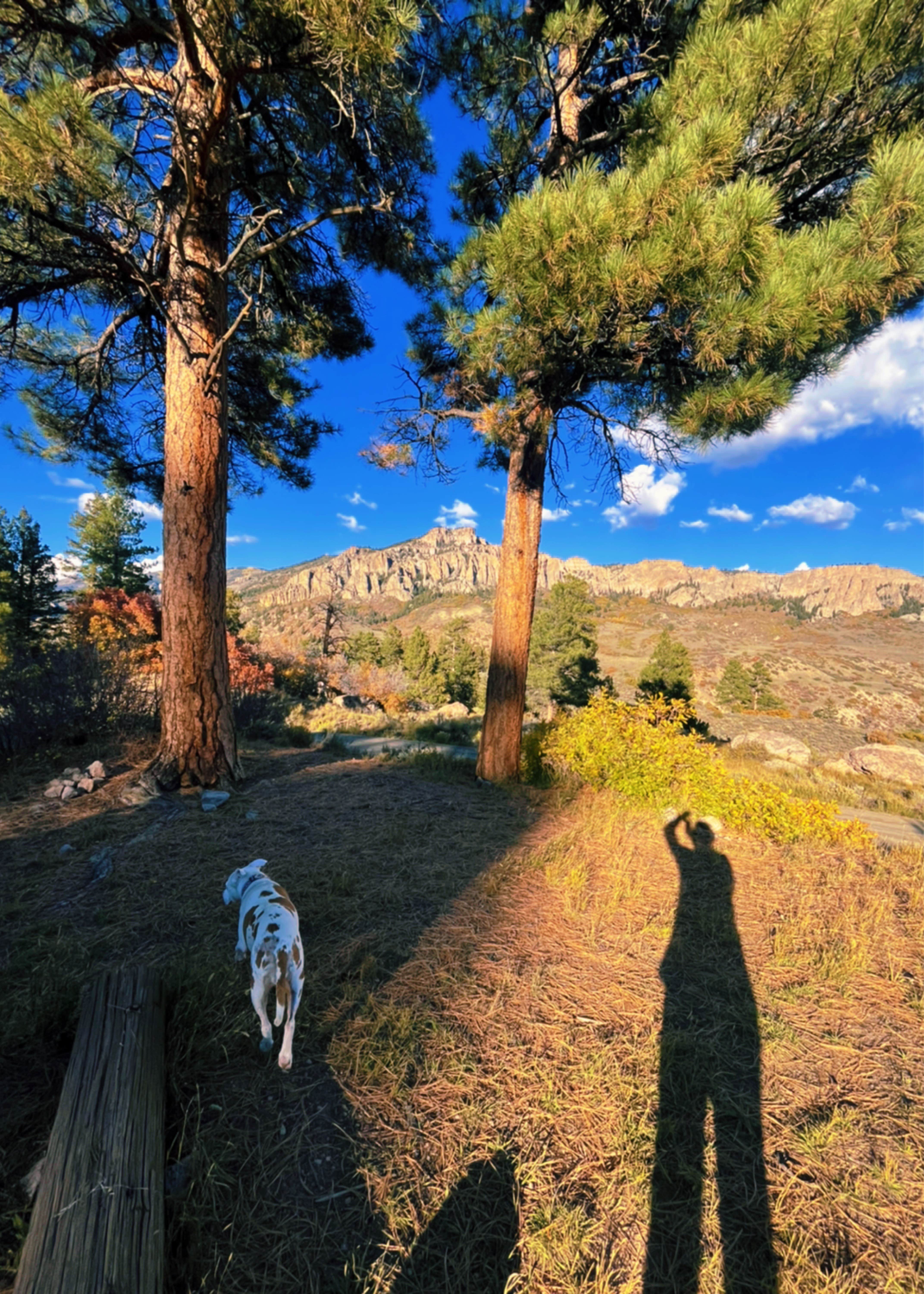 Farah C.'s photo of camping with pets at Ponderosa - Curecanti National Recreation Area near Curecanti National Recreation Area
