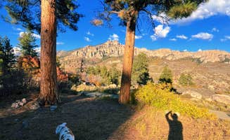Farah C.'s photo of camping with pets at Ponderosa - Curecanti National Recreation Area near Curecanti National Recreation Area