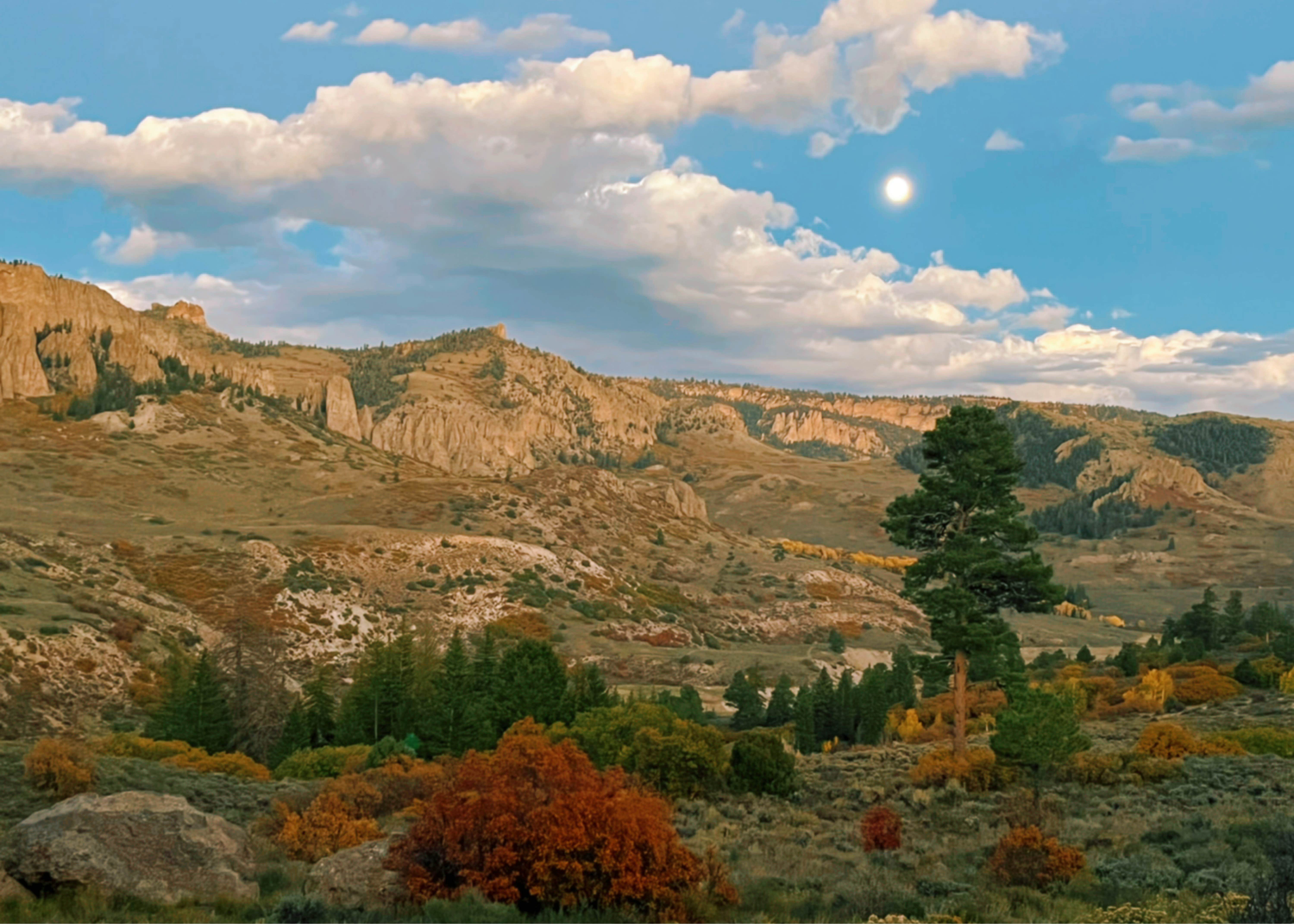 Camper-submitted photo at Ponderosa - Curecanti National Recreation Area near Curecanti National Recreation Area