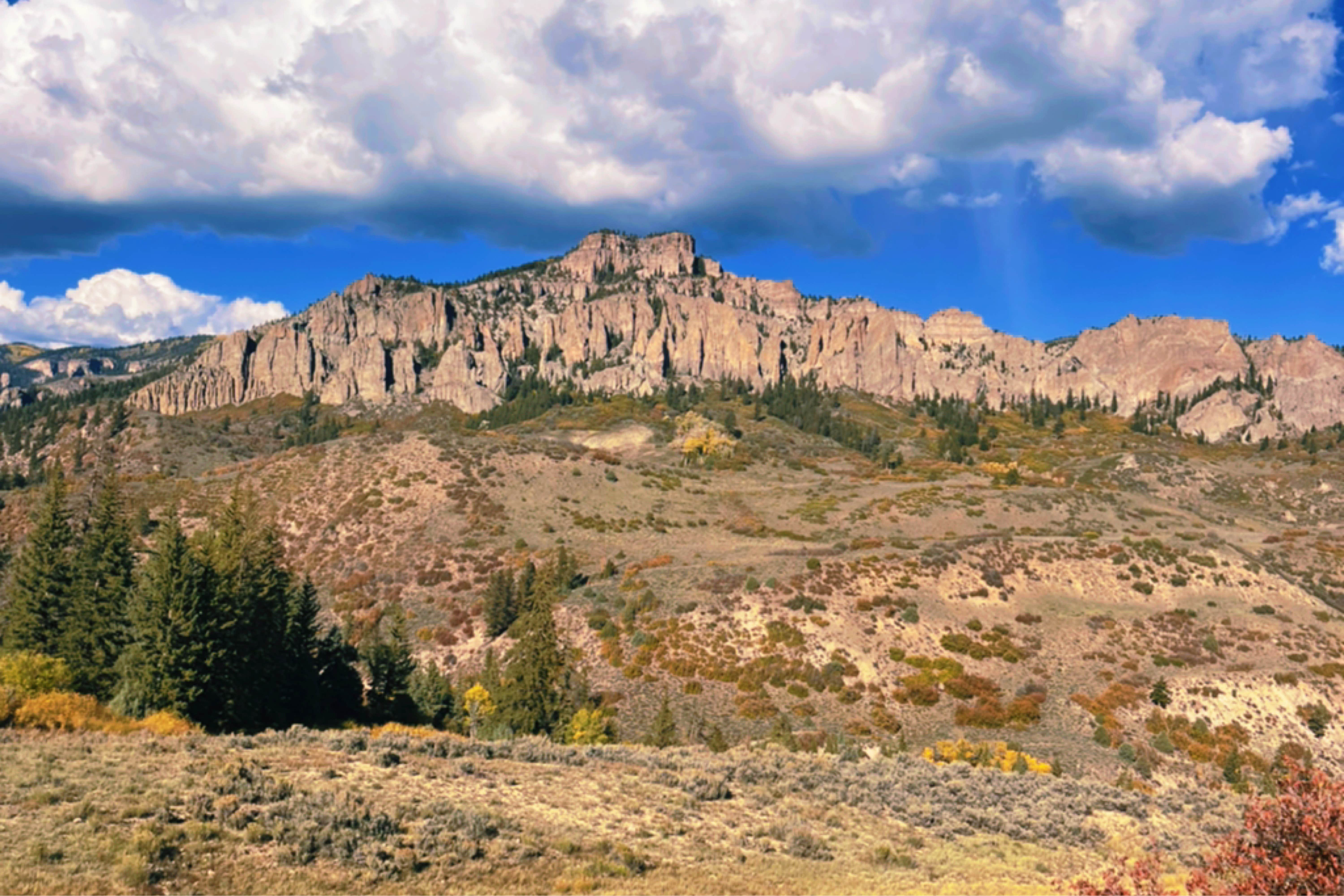 Camper-submitted photo at Ponderosa - Curecanti National Recreation Area near Curecanti National Recreation Area