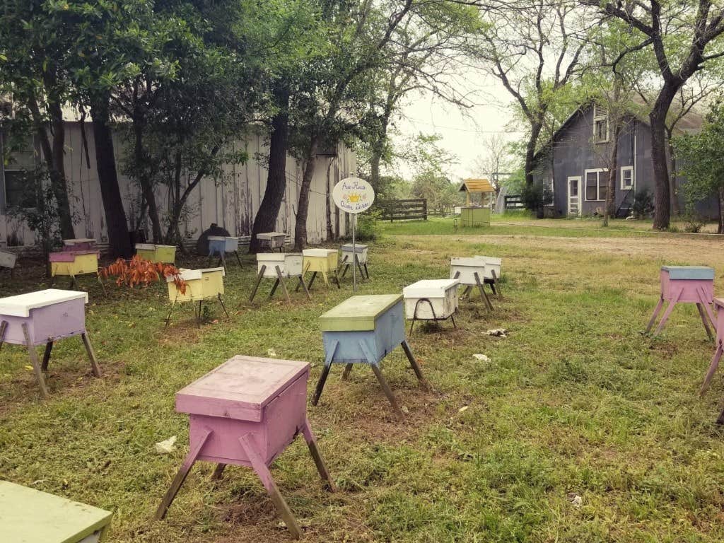 Camper-submitted photo at BeeWeaver Honey Farm & Wildflyer Mead Co near Cedar Creek, TX