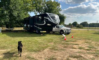 Jake C.'s photo of camping with pets at BeeWeaver Honey Farm & Wildflyer Mead Co near Somerville Lake