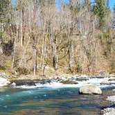 Review photo of Kanaskat-Palmer State Park by Shay F., September 6, 2018