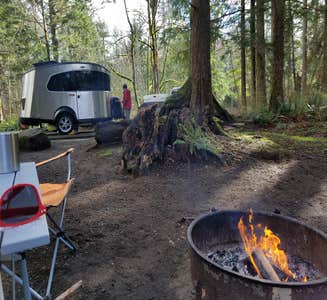 Camper-submitted photo from Dosewallips State Park Campground