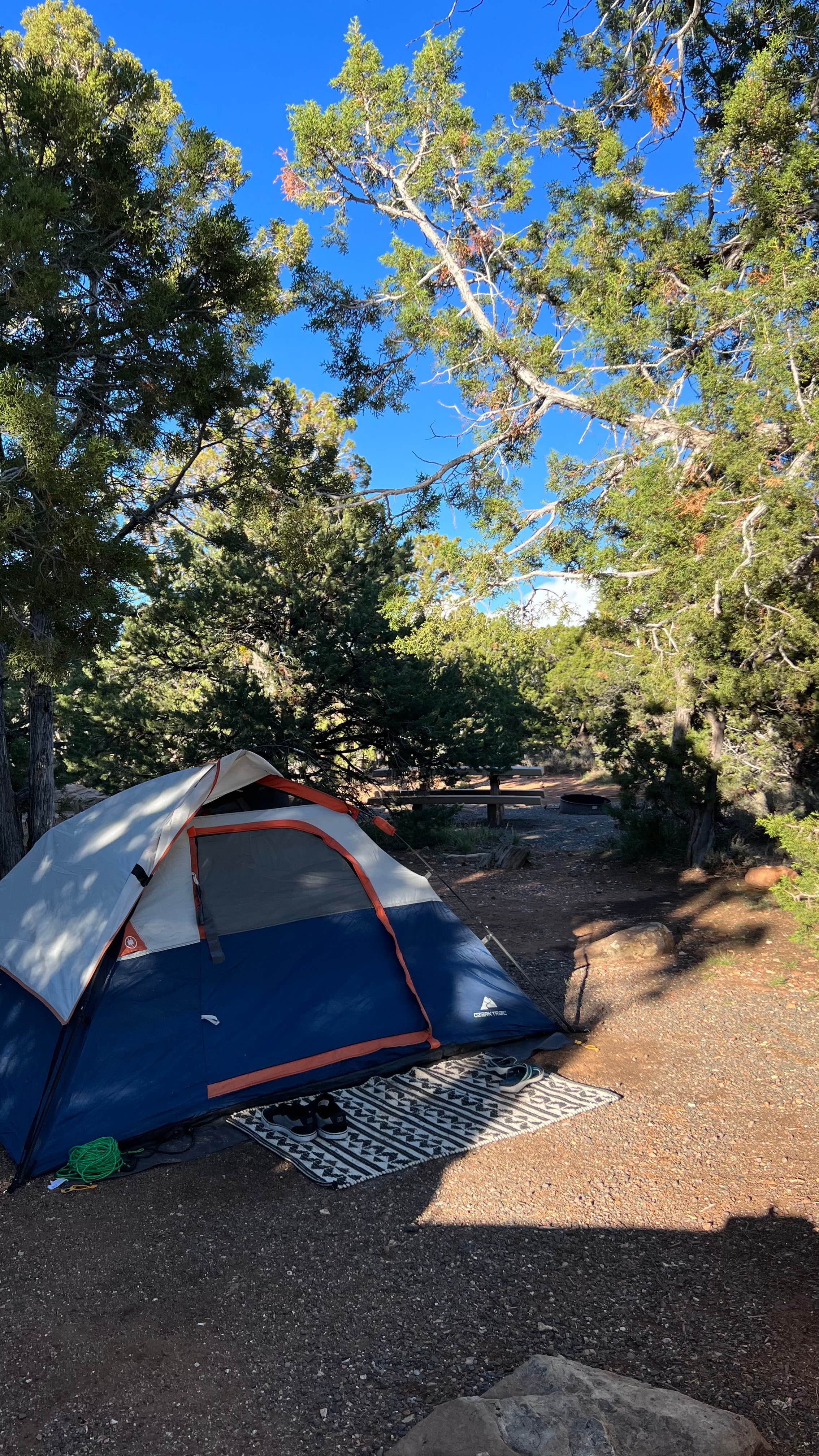 Joy's photo at Desert View Campground — Grand Canyon National Park near Cameron, AZ