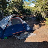 Review photo of Desert View Campground — Grand Canyon National Park by Joy , October 10, 2022